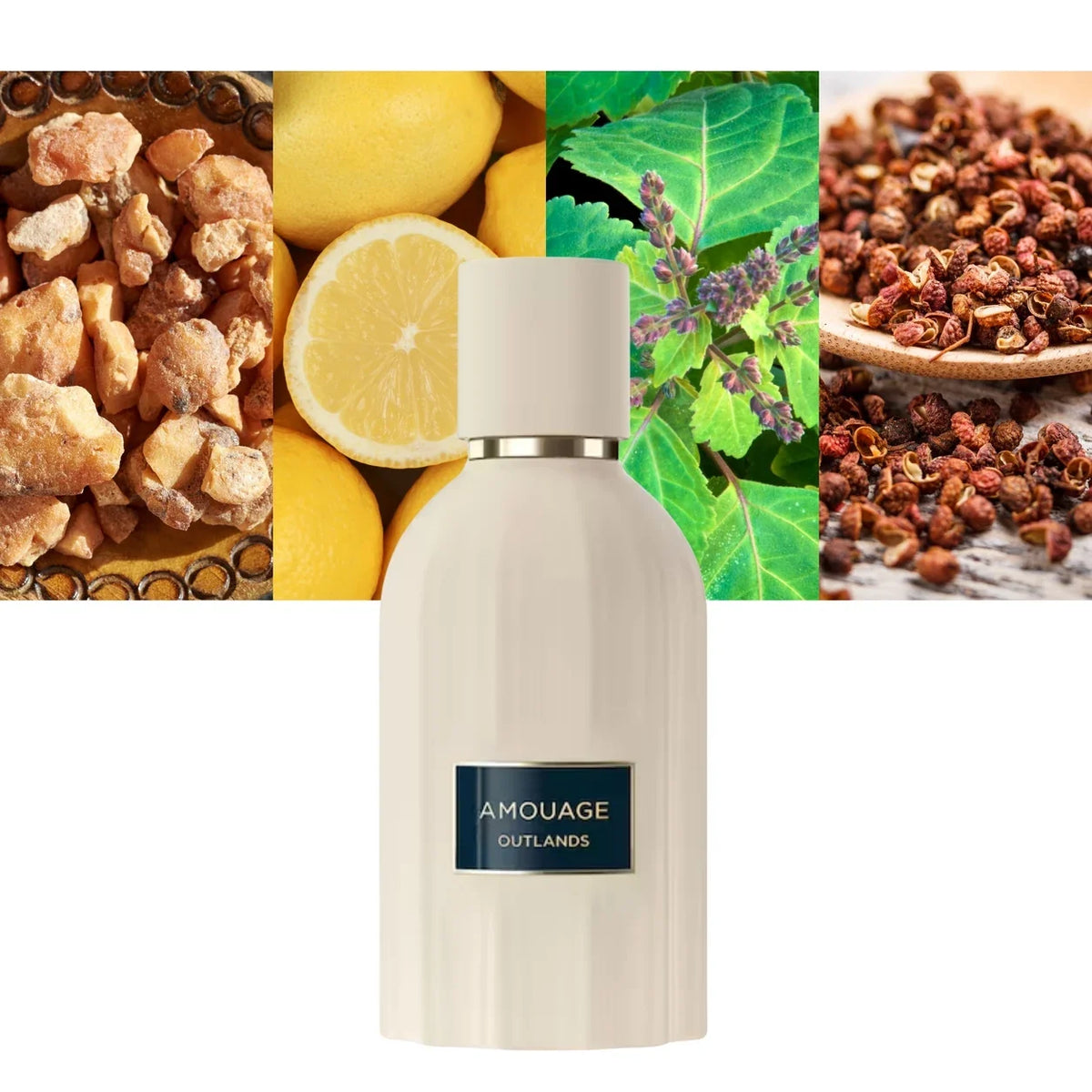 Amouage Outlands Essence de Parfum 3.4 oz – Smoky Amber Unisex Fragrance