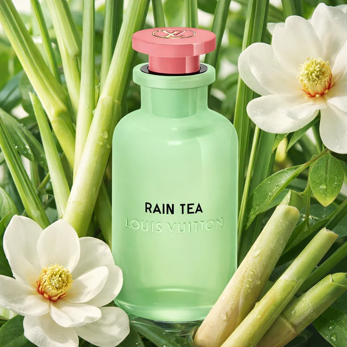 Louis Vuitton Rain Tea EDP 3.4 oz